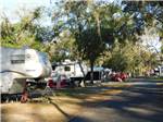 View larger image of A line of full RV campsites at BLUE PARROT RV RESORT image #4