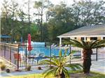 View larger image of A view of the fenced in pool at BLUE PARROT RV RESORT image #6