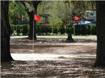 View larger image of Two red flags stuck in the ground at BLUE PARROT RV RESORT image #8