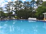 View larger image of The large swimming pool area at BLUE PARROT RV RESORT image #10