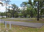 View larger image of A row of back in paved RV sites at BLUE PARROT RV RESORT image #11