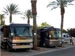 RVs in palm tree lined sites at Oasis Las Vegas RV Resort - thumbnail