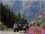 Jeeps available to rent at SILVER SUMMIT RV PARK - thumbnail