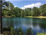 View larger image of The lake with pine trees and blue sky at PINE LAKE RV RESORT image #1