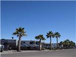 View larger image of Trailers and RVs camping at DESERT GOLD RV RESORT image #6