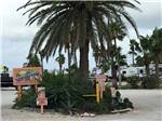 View larger image of The front entrance sign with a palm tree at SEA BREEZE RV COMMUNITY RESORT image #9