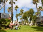 People on picnic bench on lawn near parked RVs at GOLDEN SHORE RV RESORT - thumbnail