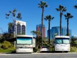 Parked RVs with buildings in background at GOLDEN SHORE RV RESORT - thumbnail