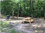 A picnic table at an RV site at CAMPTOWN CAMPGROUND - thumbnail