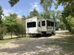 Privacy barrier between sites at HIGH POINT MOBILE HOME & RV PARK - thumbnail