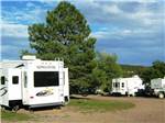 RVs in sites surrounded by tall fir trees at TURQUOISE TRAIL CAMPGROUND & RV PARK - thumbnail