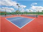Guest playing pickleball on one court and one empty court at LAS QUINTAS RV RESORT - thumbnail