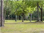 A large field with trees at RIVERS EDGE RV CAMPGROUND - thumbnail
