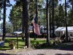 American flag in the trees at HAPPY JACK LODGE & RV RESORT - thumbnail