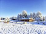 Trees and a building in the snow at HAPPY JACK LODGE & RV RESORT - thumbnail