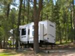 Parked RV at site Bonito Hollow RV Park & Campground - thumbnail