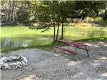 A picnic table by the river at BY THE RIVER RV PARK & CAMPGROUND - thumbnail