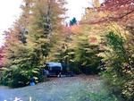 Shady sites at Moosehead Family Campground - thumbnail