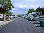 Row of RVs with mature trees at SILVER SAGE RV PARK - thumbnail