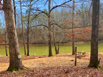 Trees by the water The Point RV at Lake Hartwell - thumbnail