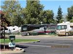 View larger image of Some of the RV sites at ALMOND TREE RV PARK image #5