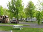 View larger image of RV sites surrounded by trees at HAGERMAN RV VILLAGE image #2
