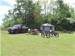 View larger image of A grassy tent camping site at APPLE ISLAND RESORT image #4