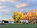 View larger image of The grassy RV sites in fall at APPLE ISLAND RESORT image #8