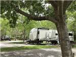 View larger image of A tree next to an RV site at COUNTRY SIDE RV PARK image #2