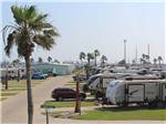 A row of travel trailers in paved sites at PIONEER BEACH RESORT - thumbnail