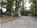 View larger image of Tent camping sites under the trees at EBENEZER PARK image #3
