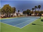 Tennis court with palm trees and blue sky in background at SUNRISE RV RESORT - thumbnail