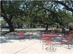 Red chairs and tables under trees at QUAIL SPRINGS RV PARK - thumbnail