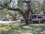 An travel trailer under trees at QUAIL SPRINGS RV PARK - thumbnail