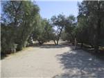 One of the back in gravel RV sites at LEAPIN LIZARD RV RANCH - thumbnail