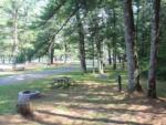 Sites with fire pits at HO-CHUNK RV RESORT & CAMPGROUND - thumbnail