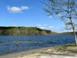 Lake view at Beech Lake Family Camping Resort - thumbnail