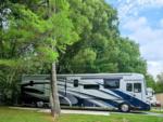 Motorhome in a site with trees at SPRING LAKE RV RESORT - thumbnail