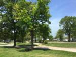 Sites in the trees at MISSOURI RV PARK - thumbnail