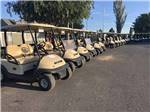 View larger image of A line up of golf carts at SAGE HILLS GOLF CLUB  RV RESORT image #4