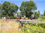 View larger image of People riding on horses thru a meadow at THE LONGHORN RANCH LODGE AND RV RESORT image #10