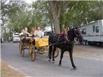 View larger image of Horse and buggy ride at COUNTRY OAKS RV PARK  CAMPGROUND image #2
