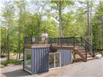 A couple on the rooftop deck of their tiny home - thumbnail