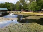 Lily pads on a pond with a fountain at Wading Pines Camping Resort - thumbnail