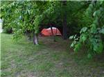 A red tent under trees at WOODSMOKE CAMPGROUND - thumbnail