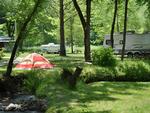 RV and tent camping under trees - thumbnail