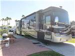 View larger image of RV camping at TROPIC WINDS RV RESORT image #5