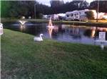 View larger image of Duck by the water at YANKEE TRAVELER RV PARK image #11