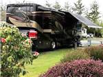 View larger image of Motorhome parked near beautiful flowers at ELMA RV PARK image #12