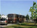 View larger image of RV camping at A COUNTRY RV PARK image #9